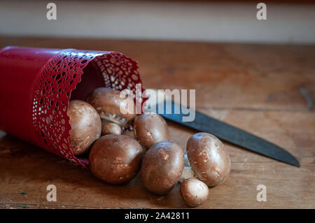 Marrone a Parigi o funghi champignon proveniente da un contenitore di colore rosso su una tavola di legno con la lama di un coltello, camera per il testo. Foto Stock