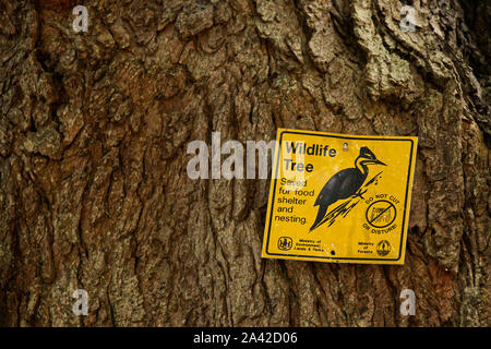 Vancouver, Canada - 10 Settembre 2019: Segno "albero della fauna selvatica, salvate per cibo e rifugio di nidificazione non tagliare o disturbare' trovato presso il Parco Stanley Foto Stock