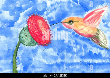 Illustrazione di un disegno a colori di un acquarello hummingbird mangiare il polline di un fiore di un bianco sfondo isolato Foto Stock