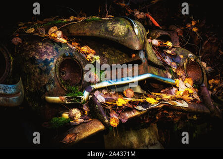 Vecchio rottame metallico di vetture in un legno Foto Stock