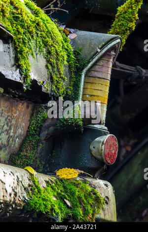 Vecchio rottame metallico di vetture in un legno Foto Stock
