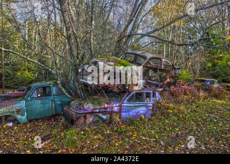 Vecchio rottame metallico di vetture in un legno Foto Stock