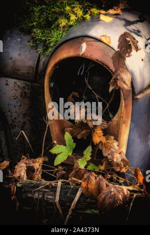 Vecchio rottame metallico di vetture in un legno Foto Stock