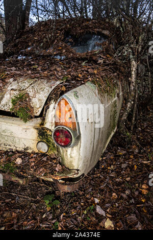 Vecchio rottame metallico di vetture in un legno Foto Stock