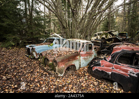 Vecchio rottame metallico di vetture in un legno Foto Stock