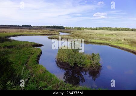 Salt Marsh, Chassahowitzka National Wildlife Refuge, Homosassa, Florida Foto Stock