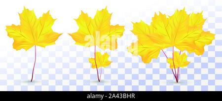 3D realistici maple leaf. Colore giallo Composizione maple leaf. Foglia di raccolta. Foglie di autunno. Maple Leaf close up. Illustrazione Vettoriale Illustrazione Vettoriale