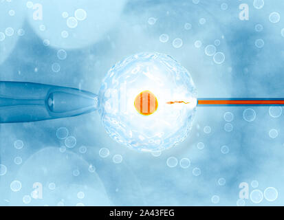 Artificiale o fecondazione assistita è il processo mediante il quale l'unione dei gameti artificialmente è effettuata mediante osservazione al microscopio, 3d r Foto Stock