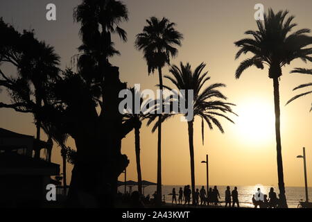 Carta da parati. Mare. Tenerife. L'estate. Alberi di palma. Spiaggia. Il tramonto. Il calore. La felicità. Estate in città. Tramonto sulla spiaggia. Foto Stock