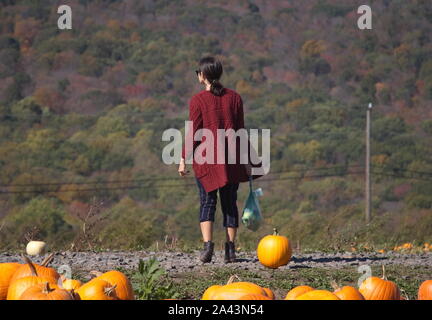 Di middelmark, CT / STATI UNITI D'America - 19 Ottobre 2017: giovane donna guarda la caduta delle foglie Foto Stock