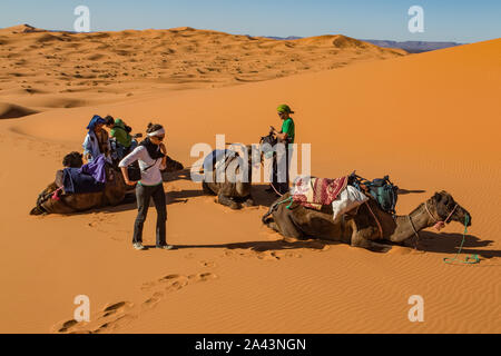 I turisti prendere un periodo di riposo con la loro camel train come essi trek attraverso la Erg Chebbi deserto. Foto Stock