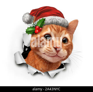 Holiday cat indossando un Natale Red Hat prorompente della carta con 3D'illustrazione degli elementi. Foto Stock