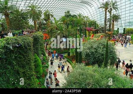 SINGAPORE -25 agosto 2019- Vista di fiori e piante all'interno del fiore cupola a giardini-per-il-Bay serra in Singapore. Foto Stock