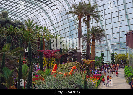 SINGAPORE -25 agosto 2019- Vista di fiori e piante all'interno del fiore cupola a giardini-per-il-Bay serra in Singapore. Foto Stock