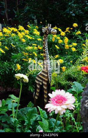 SINGAPORE -25 agosto 2019- Vista di fiori e piante all'interno del fiore cupola a giardini-per-il-Bay serra in Singapore. Foto Stock