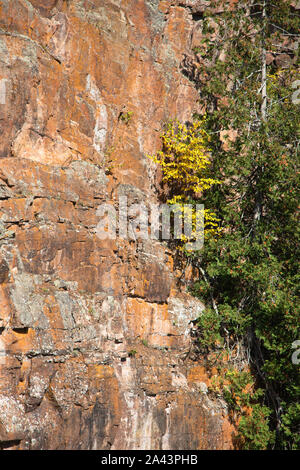 Close up di dettagli in granito muro di pietra calcarea di Barron Canyon e vegetazione che riesce a crescere Foto Stock