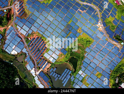 Array di pannelli solari sono installati presso le terre incolte su una collina nel villaggio Huangsha, Zhuangkou town, Huichang county, Ganzhou città, Oriente Cina Foto Stock