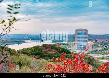 Shandong, Shandong, Cina. Xii oct, 2019. Shandong, CINA-scena cittadina di Yantai città, provincia di Shandong. Credito: SIPA Asia/ZUMA filo/Alamy Live News Foto Stock