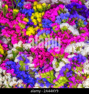 TEXTURE DI SFONDO - grappoli di fiori colorati che fanno un'immagine astratta del motivo Foto Stock