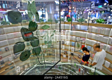 Erbario nella lastra di vetro che si compone di un edificio a tre piani di alta wind chime con altri riquadri simili a Xi'an City, a sud-ovest della Cina di provincia di Shaanxi, 1 A Foto Stock