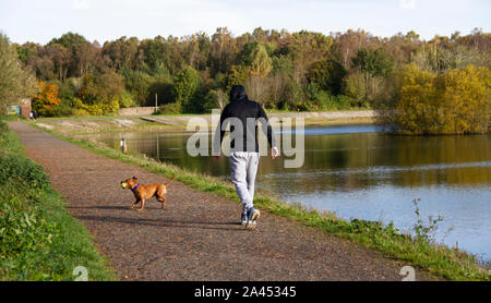 Dundee, Tayside, Scozia, Regno Unito, 12 Ottobre 2019: Regno Unito Meteo. Una fredda mattina di autunno con sole splendente a Dundee, temperatura massima di 13°C. Dog walkers a spasso i loro cani lungo il paese Clatto Park che ha un serbatoio di grandi dimensioni, dei boschi, sentieri e un'area di gioco. Credito: Dundee fotografico / Alamy Live News Foto Stock