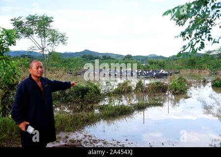 Wnag Hongguang e la sua fattoria d'oca che viene distrutta da Lekima, il nono typhoon dell'anno, nella contea di Xianju, città di Taizhou, Oriente Cina¯s Zhejiang p Foto Stock