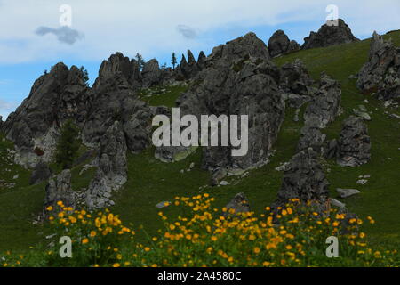 Il paesaggio di granito "Forest" sui pascoli di Burqin county, prefettura degli Altai, a nord-ovest della Cina di Xinjiang Uygur Regione autonoma, 26 giugno 2 Foto Stock