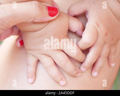 Mano materna tiene il suo bambino. I bambini neonati la mano nella mano madre. La mamma e il suo bambino. Happy Family concept. Bella immagine concettuale della maternità Foto Stock