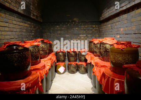Cinese tradizionale Residences interno cantina a Tianshui Folk Arts Museum Hu Shi casa folk, Gansu Cina Foto Stock