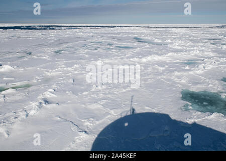 La Russia, alta artico, Franz Josef Land. Rudolf isola. Capo Fligely aka Tegetthoff del capo. Ombra di icebreaker andando attraverso il ghiaccio. Foto Stock