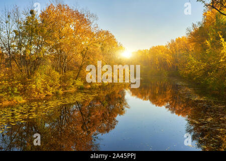 In autunno gli alberi colorati sotto la luce del sole di mattina riflettendo nel tranquillo fiume Foto Stock