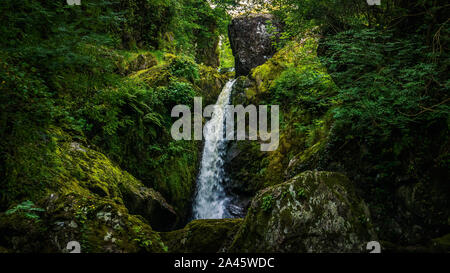 Piccola cascata su un ruscello di montagna o creek, tra rocce di muschio, acqua che scorre tra i sassi, autunno, Wicklow, Irlanda Foto Stock