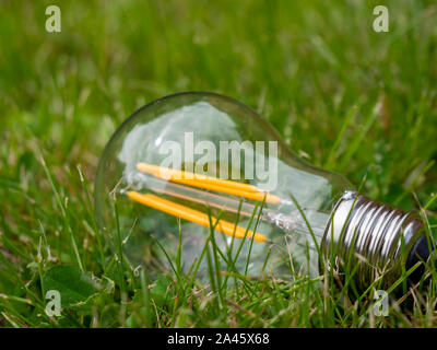 Risparmiare energia di lampadine di prato Foto Stock
