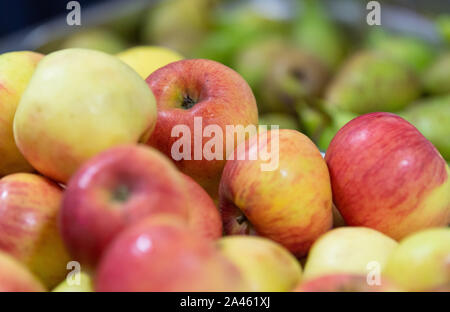 Rukla, Lituania. 10 ottobre, 2019. Le mele e le pere che giacciono in una mensa sul contatore. Credito: Monika Skolimowska/dpa-Zentralbild/ZB/dpa/Alamy Live News Foto Stock