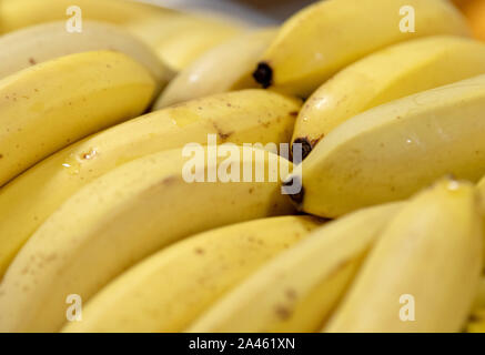 Rukla, Lituania. 10 ottobre, 2019. Le banane sono sdraiato sul contatore in una mensa. Credito: Monika Skolimowska/dpa-Zentralbild/ZB/dpa/Alamy Live News Foto Stock