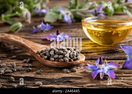 Semi di borragine su un cucchiaio con fresco blooming borragine officinalis pianta e olio in background Foto Stock