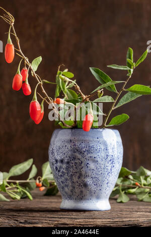 Fresh goji bacche in un vaso Foto Stock