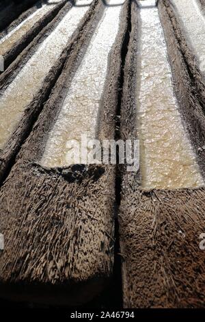 Il processo di produzione e la cristallizzazione del sale da acqua di mare. Grondaie scavate nei tronchi delle palme. Il sole evapora acqua di mare da tronchi di legno. Foto Stock