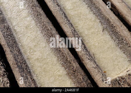 Il processo di produzione e la cristallizzazione del sale da acqua di mare. Grondaie scavate nei tronchi delle palme. Il sole evapora acqua di mare da tronchi di legno. Foto Stock