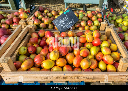 Scatola di quercino pippin mangiare le mele per vendita a Norfolk farm shop. Foto Stock