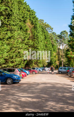 Parcheggio auto gratuito a Sandringham Country Park sulla tenuta Reale di Sandringham nel Norfolk è alla fine di febbraio 2020. Foto Stock