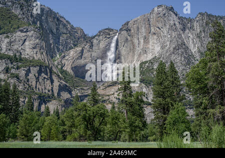 Yosemite Falls nel luglio: acqua dalla fusione di cascate di neve su una scogliera a formare la cascata più alta nel Parco Nazionale di Yosemite. Foto Stock