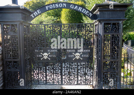 I cancelli di ingresso al giardino di veleno nel giardino a Alnwick Northumberland REGNO UNITO Foto Stock