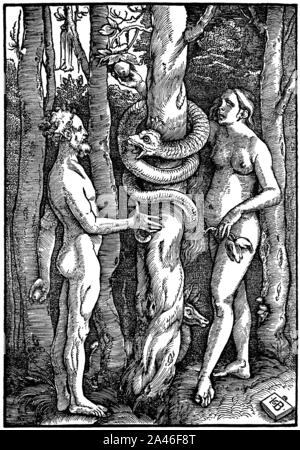 Xilografia di Hans Baldung Grien, Adamo ed Eva nel Paradiso, Adam und Eva im Paradies Foto Stock