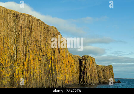 Scogliere sul mare a Isola Sugandisey appena fuori Styykisholmur sulla penisola Snaefellsnes West Islanda Foto Stock