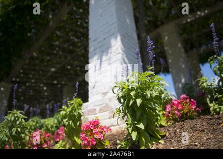 Primo giorno di estate 2017 presso il Cimitero Nazionale di Arlington Foto Stock
