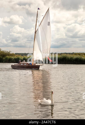 Sulla vela il Parco Nazionale Broads del Norfolk, Inghilterra, Regno Unito Foto Stock