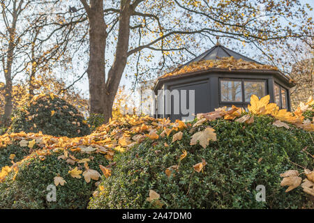 Casa giardino dietro la siepe di bosso Foto Stock