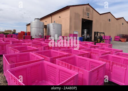 San Esteban De Gormaz, Spagna. Xii oct, 2019. Grandi cesti per uva visto nel dominio de Atauta cantina.La Ribera del Duero vendemmia continuare nella provincia spagnola di Soria. Ribera del Duero è un DenominaciÃ³n spagnola de Origen situato nel paese del nord plateau ed è uno degli undici "vini di qualità di regioni, è anche uno dei più riconosciuti producono vino per essere trovati lungo il corso del fiume Duero. Credito: John Milner/SOPA Immagini/ZUMA filo/Alamy Live News Foto Stock