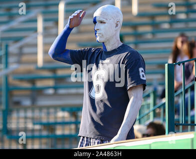 New Orleans, LA, Stati Uniti d'America. Xii oct, 2019. Una ventola di UConn orologi il gioco da stand durante il NCAA Football gioco tra il verde di Tulane vacillare e di UConn Huskies a Yulman Stadium di New Orleans, LA. Kyle Okita/CSM/Alamy Live News Foto Stock